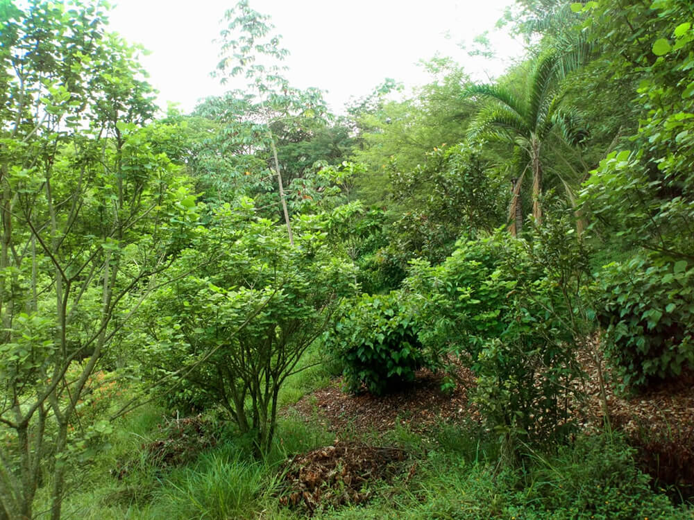 06 ESTUDIO  jardin SLIDER HD.jpg